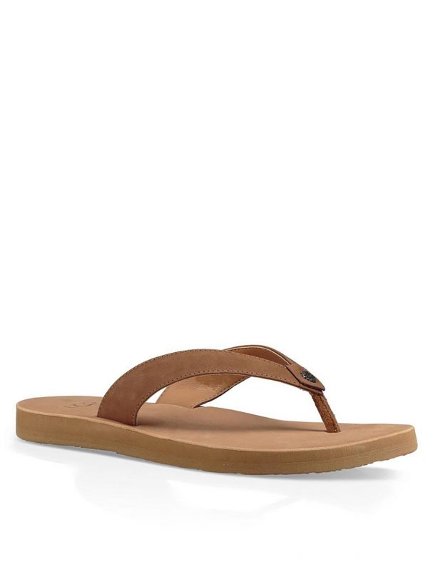 special sale tawney flip flop chestnut 5ef737b84f3e2