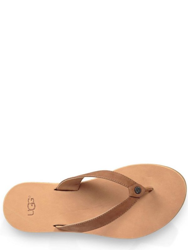 special sale tawney flip flop chestnut 5ef737badf0df