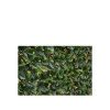 buy autumn hedging trellis 1m x 2m 5f17d24a1e1ba