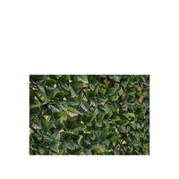 buy autumn hedging trellis 1m x 2m 5f17d24a1e1ba