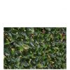 buy autumn hedging trellis 1m x 2m 5f17d24ecd694