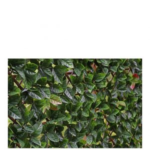 buy autumn hedging trellis 1m x 2m 5f17d24ecd694