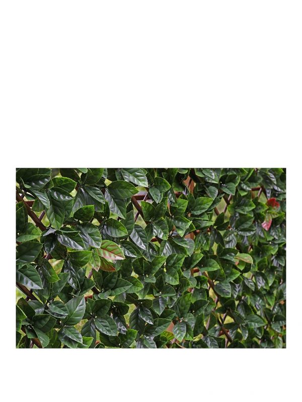 buy autumn hedging trellis 1m x 2m 5f17d24ecd694