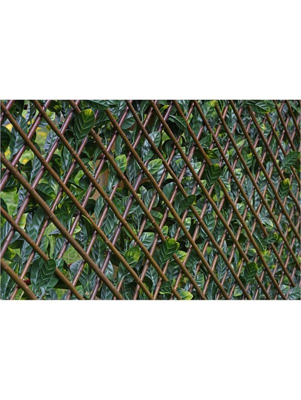 buy autumn hedging trellis 1m x 2m 5f17d24fd526d