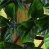 buy autumn hedging trellis 1m x 2m 5f17d250c6c08