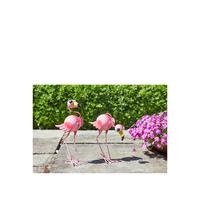 buy flamingo fun 2 pack 5f1a757bb13e6