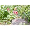 buy flamingo fun 2 pack 5f1a75822c921