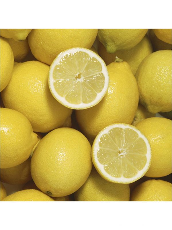 buy large lemon eureka tree 6 5l pot 5f17d58996b1e