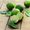 buy large lime tree in 6 5l pot 5f17d59865b74