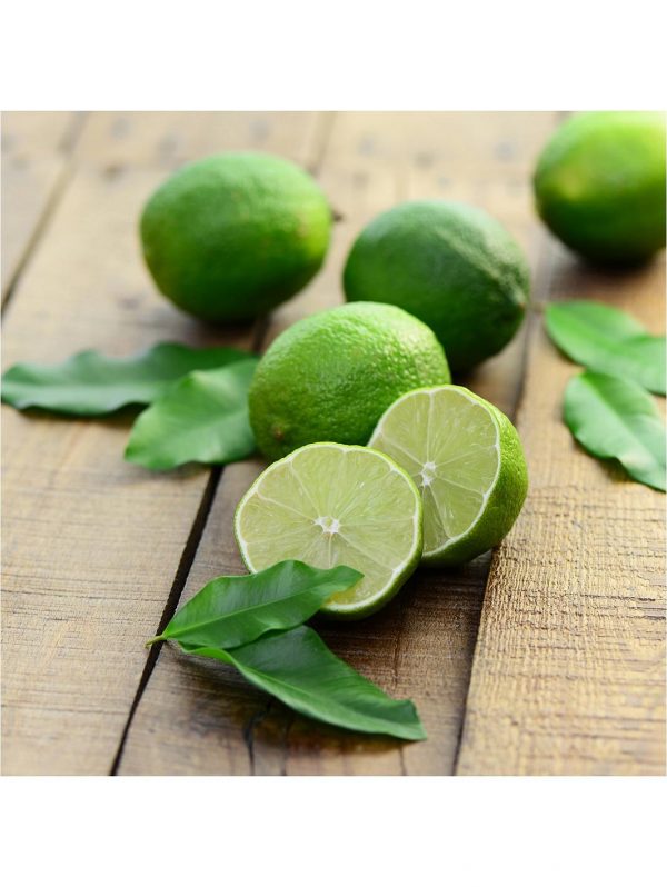 buy large lime tree in 6 5l pot 5f17d59865b74