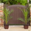 buy pair of hardy phoenix palm trees 80 100cm tall 15cm potted plants 5f17d465dc9dc
