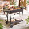 buy party bbq with rotisserie 5f1d19ef71572