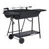 buy party bbq with rotisserie 5f1d19f0aaf63