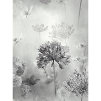 buy spring meadow mono wallpaper 5f1d1d5b95c7f