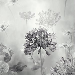buy spring meadow mono wallpaper 5f1d1d5f508df