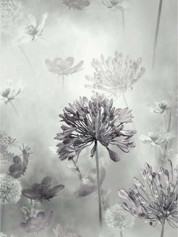 buy spring meadow mono wallpaper 5f1d1d5f508df