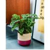 selling bamboo pink planter 5f1a6f3de1c1d