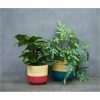 selling bamboo pink planter 5f1a6f3f8ea71
