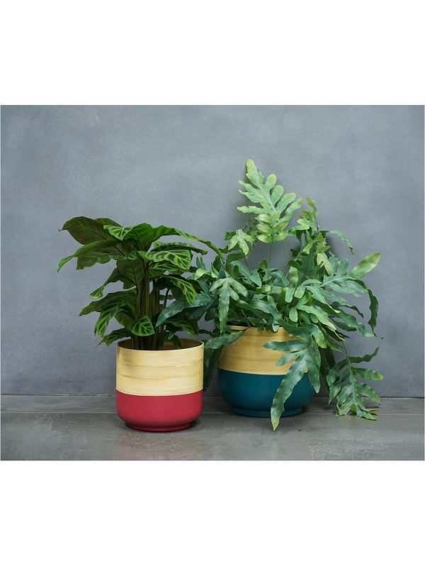 selling bamboo pink planter 5f1a6f3f8ea71
