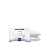 selling clusterdown pair pillows 5efef186ab4b0