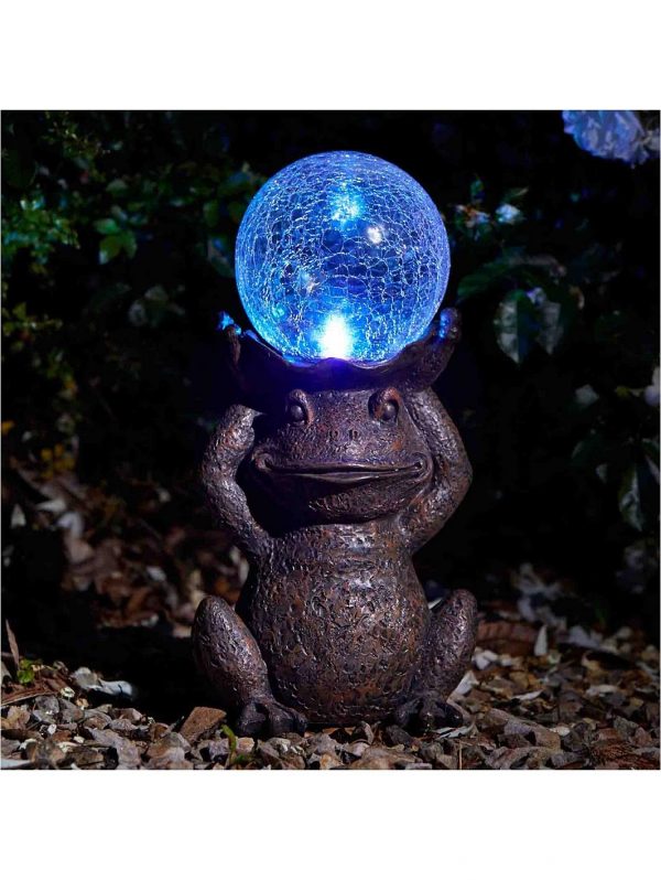 selling gazing frog 5f02cb5bbdf42