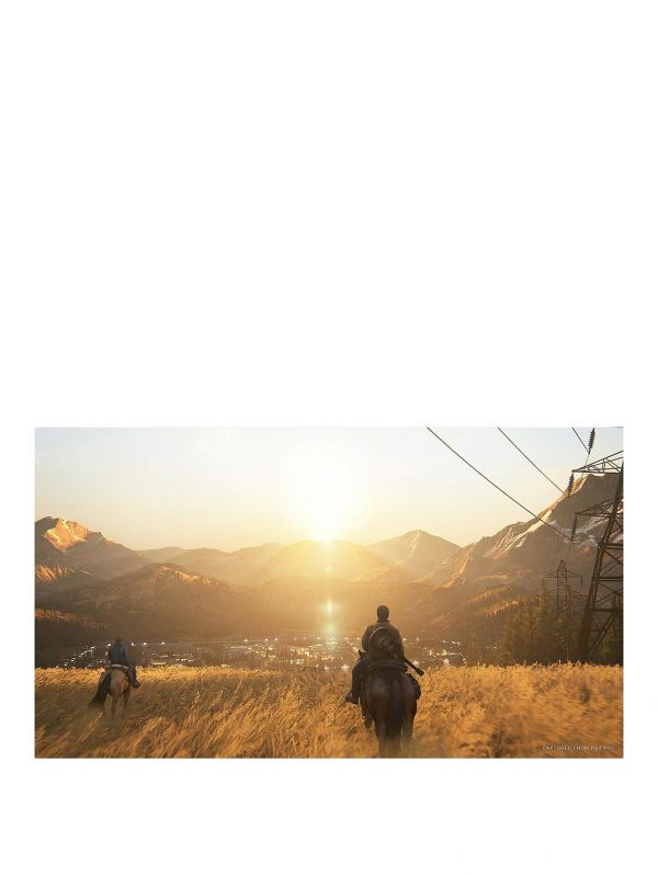 selling ps4 with the last of us part ii and optional extras 500gb console 5efc5d834e45e