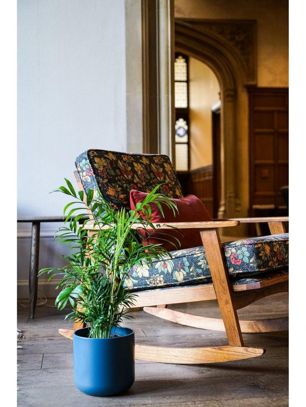 selling real parlour palm plant in pot 5efeee4d66bee