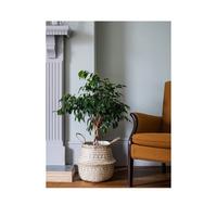 selling seagrass tribal white lined basket 5f1d23ad903cb