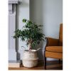 selling seagrass tribal white lined basket 5f1d23b11293e