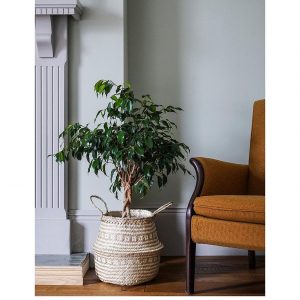 selling seagrass tribal white lined basket 5f1d23b11293e