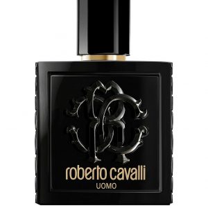 special sale roberto cavalli uomo 100ml eau de toilette 5f02d0648c180