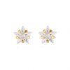 buy 9ct gold 6mm star cz stud earrings in a star gift box 5f427116e1f7f