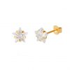 buy 9ct gold 6mm star cz stud earrings in a star gift box 5f4271188f304