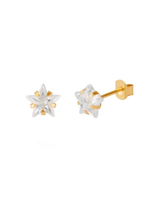 buy 9ct gold 6mm star cz stud earrings in a star gift box 5f4271188f304