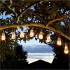 buy eureka solar lightbulb string lights 5f2501b568f8e