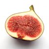 buy fig tree brown turkey standard form 1 2 1 4m tall 5f27a6d70ca04