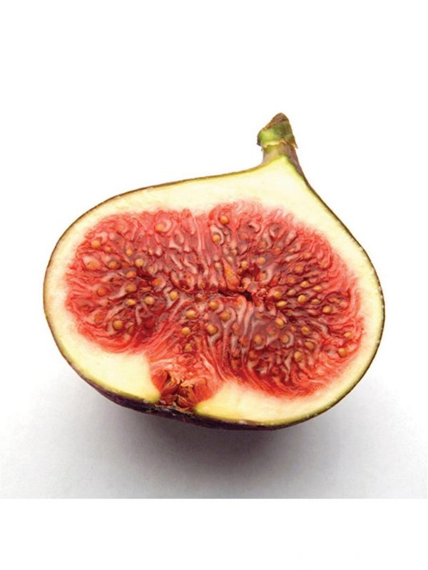buy fig tree brown turkey standard form 1 2 1 4m tall 5f27a6d70ca04