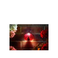 buy ladybird led wall hanging lights 4 pack 5f2cea891dbf3