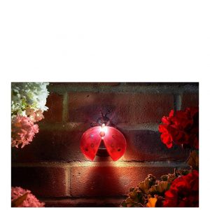 buy ladybird led wall hanging lights 4 pack 5f2cea8aaea1a