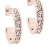 buy seannia crystal hoop earrings rose gold crystal 5f3d55d3a4c27
