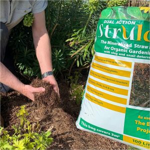 buy strulch mineralised straw mulch slug deterrant 100l bag 5f2cec61b8609