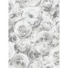 buy wild rose silver wallpaper 5f2e40eceff0a