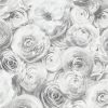buy wild rose silver wallpaper 5f2e40f1335cd