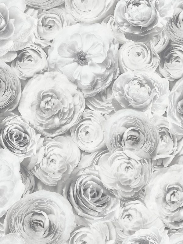 buy wild rose silver wallpaper 5f2e40f1335cd