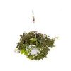 buy hedera wonder hanging pot white 70 100cm 5f55cae7a3c15